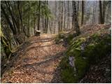 Divje jezero - Hleviška planina